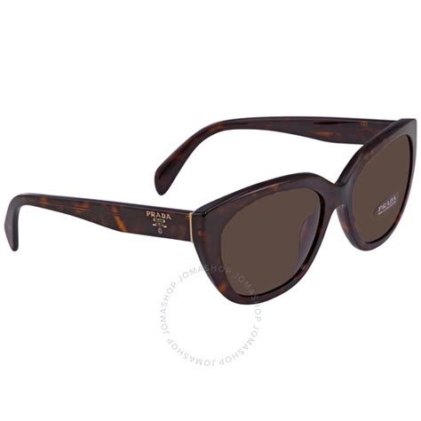 Prada Brown Cat Eye Ladies Sunglasses PR 16XS 2AU8C1 56